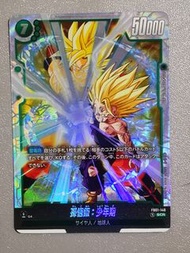 龍珠 Super Card Game 父子波 Bandia Made in Japan 閃卡/非風雲/非巴曲/閃咭/