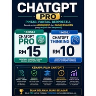 ChatGPT Pro/Thinking - 1 request messege only
