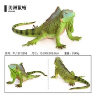 Hot-selling Children's Cognitive Toys Simulation Wild Reptile Model Solid Lizard American Iguana Sci
