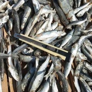 Ikan asin layang rebus 250gr / ikan layang / ikan cue / ikan pindang