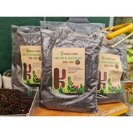 Kimmie Crafts Cactus & Succulent mix soil Value pack
