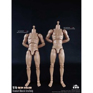 COOMODEL 1/6 Bd001 002 003 Bd010 Male Soldier Super Mobile Joint Element