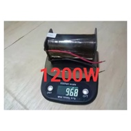 Coil Inductor 1200 W /