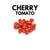 Cherry tomato 300g | Tomato Ceri
