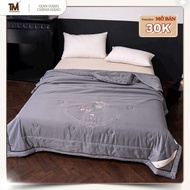 Soft and Thick Summer Embroidered Silk Blanket 2mx2m3 TM Beddings