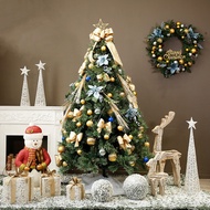 2FT/3FT/4FT/5FT Christmas tree christmas tree decor cristmas tree Mini Christmas tree christmas 圣诞树