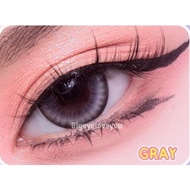 คอนแทคเลนส์🌈Pure Alice🌈 Brown / Gray (Shinee) ขนาดบิ๊กอาย💖