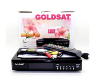 Receiver Parabola Mpeg4 HD - GOLDSAT LILY