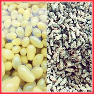💥 PROMOSI 💥JERUK ANGGUR & ANGGUR KERING