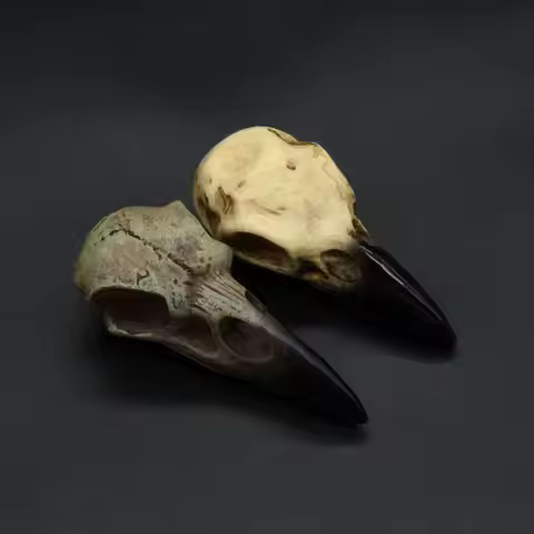 Punk Viking Amulet Crow Skull Pendant Vintage Nordic Mens Necklace Biker Amulet Jewelry Gift Dropshi