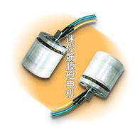 Clothes Grinding Motor Micro Motor bl2830 Fan Air Conditioning Motor Press DC Gun Motor Brushless Mo