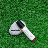 Citrus Crush Essential Oil Roll On Perfume