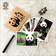 Sichuan Chengdu Panda Postcard Base Flower Cute Photo Photo Post Office Creative Card Chengdu Souven