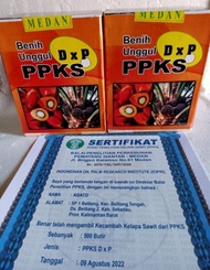 benih Kecambah sawit varietas dxp cap ppks 540 Ng