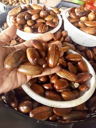BUAH PERAH FRESHHH buah bermusim
