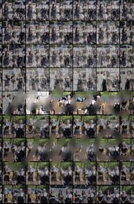 twice momo talk that talk 圖包 59張