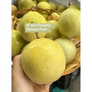 (L size=11pcs/kg) Panama Golden Rose Passion Fruit 100% Sweet Vitamin C Local Farm Buah Markisa Kuni