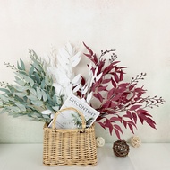 Eucalyptus Willow Leaf Curry Leaves Olive Leaves Curry Leaf/s Willow Leaves Eucalyptus Pelamine Leav