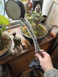 LED植物生長燈 夾式