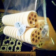 Lotus root mountain tree gen 2.