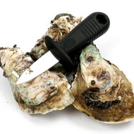 New Stainless Steel Oyster Opener Knife Seafood (Pisau Oyster)