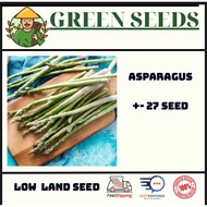 【GREEN SEEDS】🌱Benih Asparagus (27 seed) / Asparagus seed / 芦笋种子