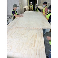 Plywood (30x60Cm): Includes 2.7m - 3m - 5m (Pine - Melaleuca - Birch Coating) Model Cutting - Laser 