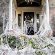 Widow Spider Web Fake Ready-Made Halloween Decoration