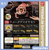 BANDAI 生物大圖鑑 瘤尾守宮肥尾守宮 全套扭蛋