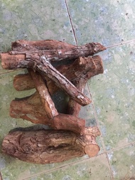 Combo 5 khúc chảng 3 gỗ sữa ghép lan dài 30-35 cm Độ bền của giá thể cao nên trồng lan rất tốt (độ b