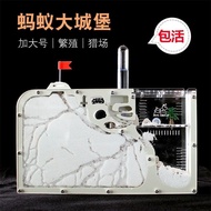 Ant Workshop Nest Ant Nest Ant House Ant Live Sand Nest Ant Castle Student Edition Eco Box Ant Works