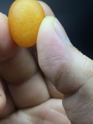 和田籽料 黃心籽
