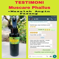 Muscare Phallus Angin Pasang/ Hernia/Angin Uluran/Angin PasangSurut/ Angin Pasang Baby