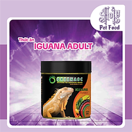 Thức ăn Iguana Trưởng Thành, Rồng Nam Mỹ trưởng thành từ 1m trở lên - Tiêu hóa tốt, Cơ thể săn chắc 