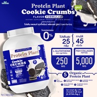 Protein Plant โปรตีนแพลนท์ สูตร 3 (รสคุกกี้ครัมบ์) ขนาด 2.27 kg./กระปุก (5 ปอนด์ 5LBS) ทานได้ 45 ครั