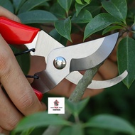 Plant Trim Horticulture Hand Pruner Cut Secateur Shrub Garden Scissor Tool Anvil Branch Shear Orchar