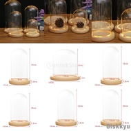 [Diskkyu] Decorative Clear Glass Cloche Bell Jar Display Case with LED Rustic /Tabletop Centerpiece Dome