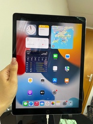 iPad Pro 12.9  256GB WIFI