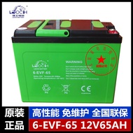 Rich EV Colloidal Battery Forklift Battery 6-EVF-65 6-EV-80 6-GFM-85 3-EVF-200