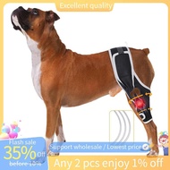 In stock-Dog Knee Brace for Acl and Ccl Injuries Adjustable Support with Metal Stabilizers Surgery R