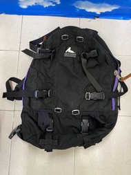 Gregory Backpack…
