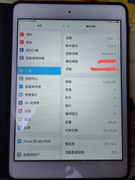 Ipadmini2 64G wifi+LTE