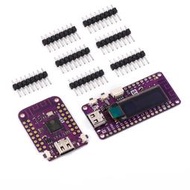 Mini/Pico ESP32-S2微控制器開發板 無線Wifi單片機模塊 可帶OLED