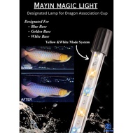 [ONE YEAR WARRANTY] Mayin Super Magic Light Arowana Tanning Light Lampu Akuarium