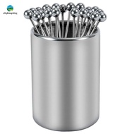 20PCS Metal Cocktail Picks with Holder Kit, Stainless Steel Cocktail Picks, Reusable Cocktail Skewer