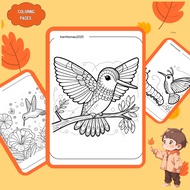 Set of 30/15/10 coloring pages, Hummingbird coloring pages for children, A4, A5 paper 160gsm thick H
