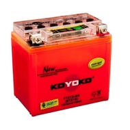 KOYOKO YTZ7S-BS Battery Nanogel
