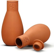 Soilagua 16 oz Ollas Terracotta Self Watering Pots, Olla Plant Watering Globes, Self Watering Plante