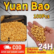 COD Available 100Pcs Mini Yuan Bao Brass Alloy Feng Shui Chinese New Year Money Decoration Yuan Bao 