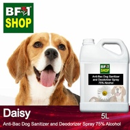 Anti Bac Dog Sanitizer and Deodorizer Spray (ABPSD-Dog) - 75% Alcohol - Daisy - 5L Dog Puppy⭐⭐⭐⭐⭐